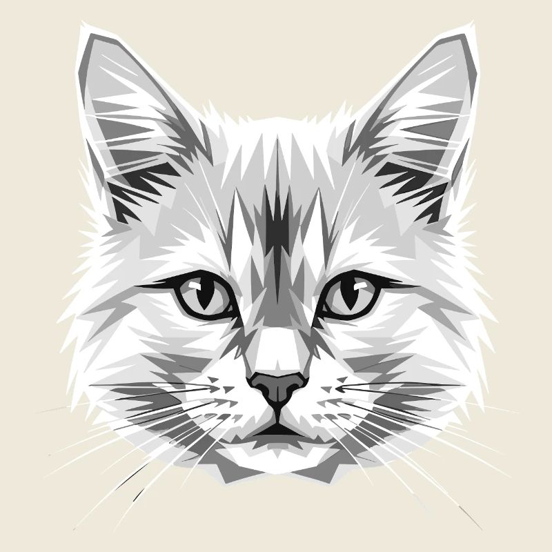 Chat Angora Chat Angora Chat Angora Mignons Chats Angora