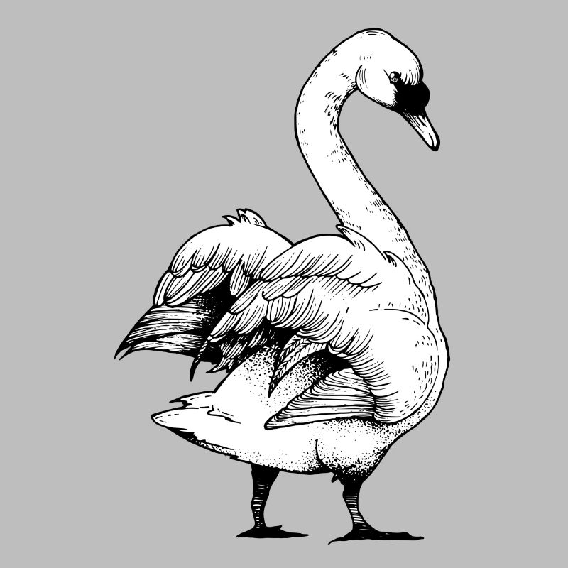 Schwan