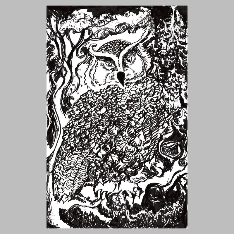 Nachtwald Eulenillustration