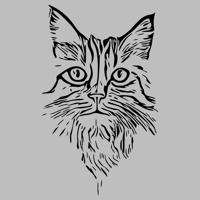 Katze - Vector