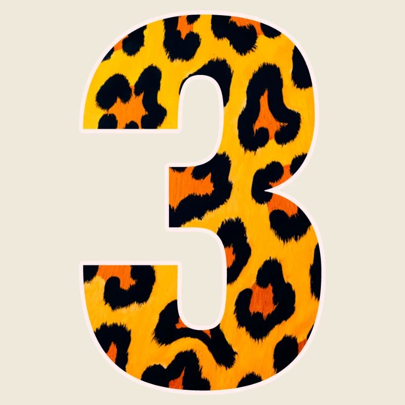 Leopard 3 Number Pattern