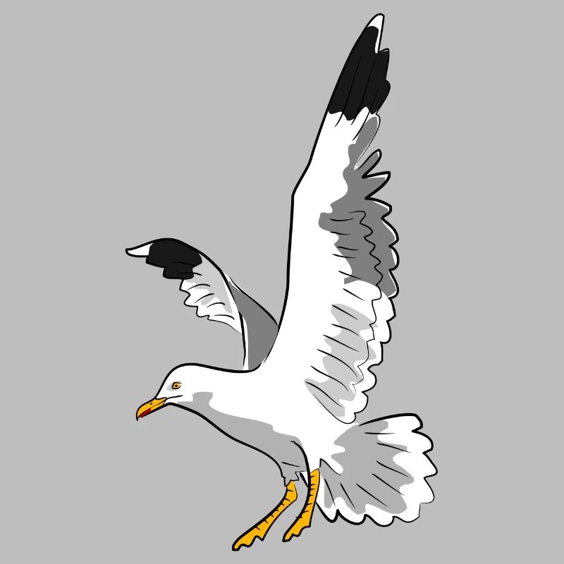 vogel möwe strand