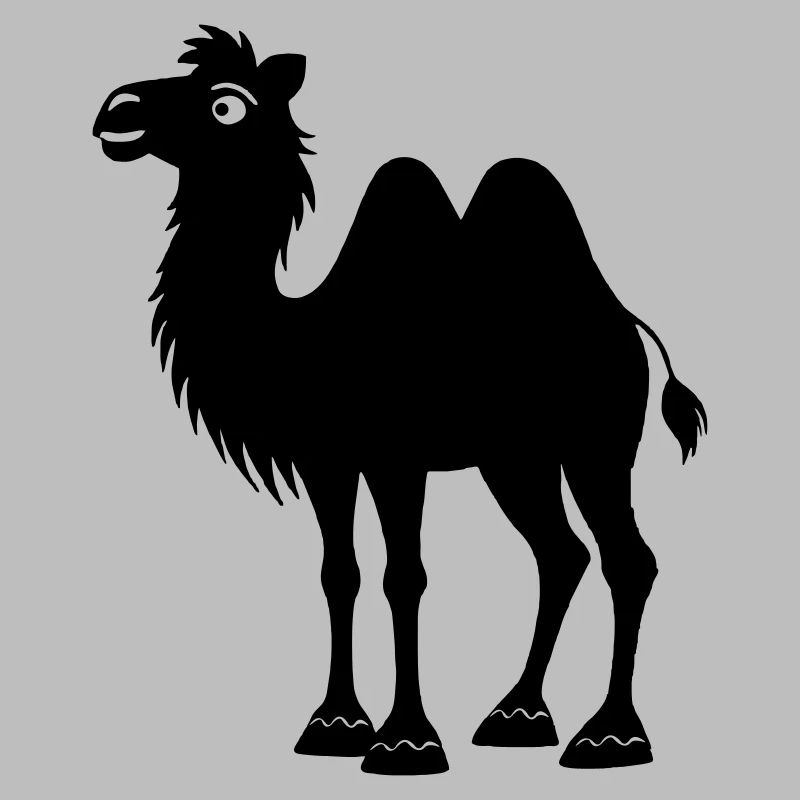 Schatten-Kamel