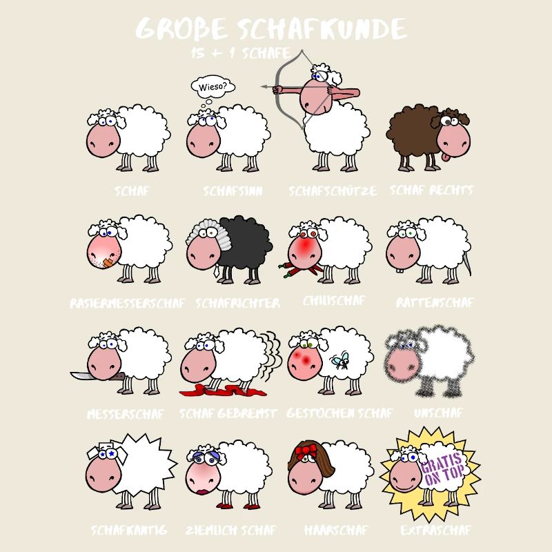 Great sheep knowledge