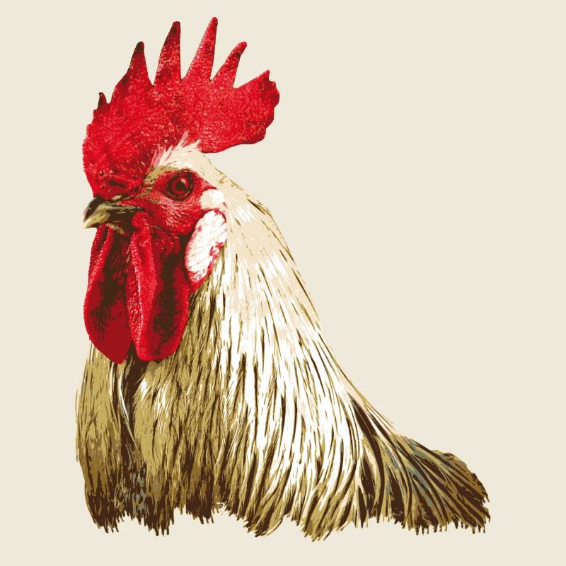Coq
