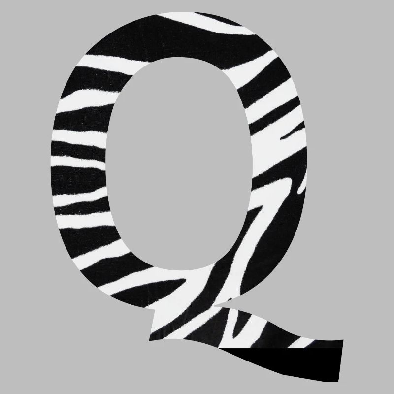 Letter q zebra