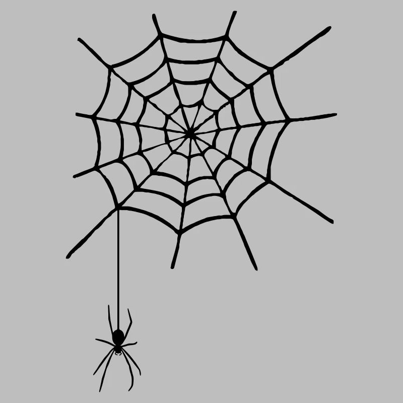 Spinnennetz mit Spinne