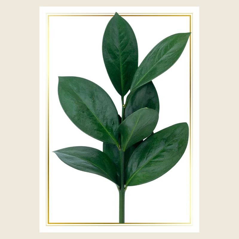Branche verte avec bordure dorée