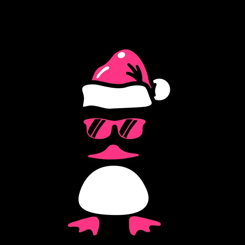 Noël du canard de plage