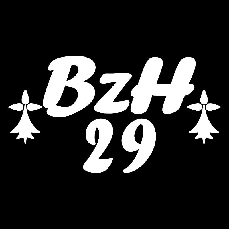 29 Bretagne BZH 2