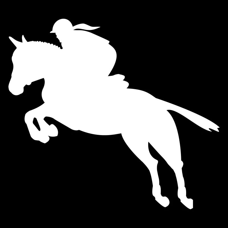 équestre de saut d'obstacles