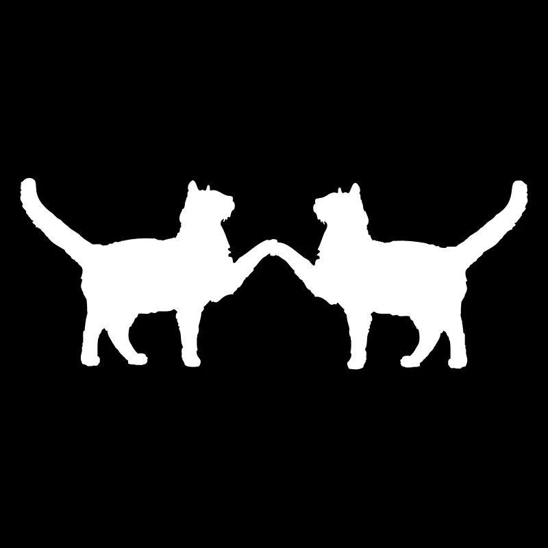2 Katzen Freunde Team Zwei Pfoten Hände Begrüßung