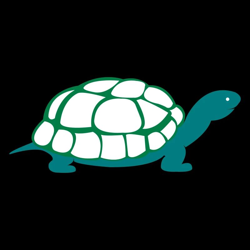 turtle_002