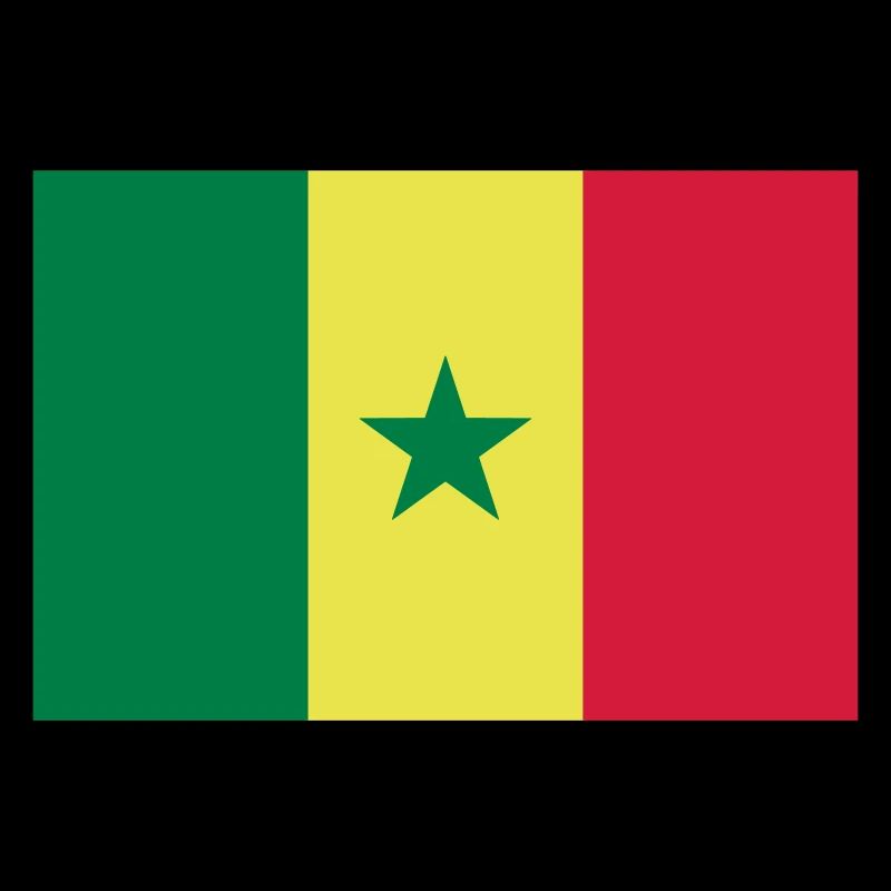 Drapeau Sénégal / Flagge von Senegal