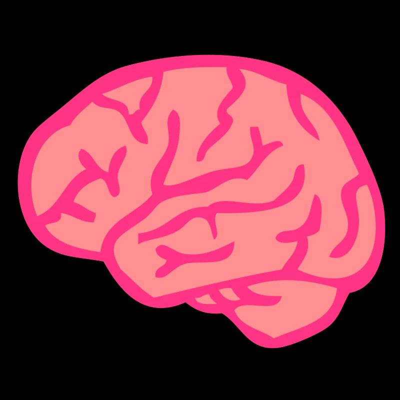 brain brain gehirn Hjerne cervello 111