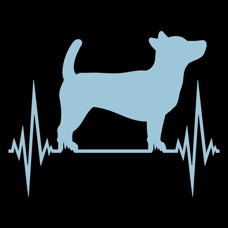 Hund Puls Herzschlag Frequenz EKG Cool Haustier