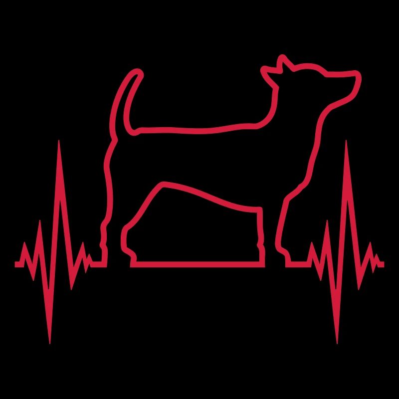 Hund Puls Herzschlag Frequenz EKG Cool Haustier