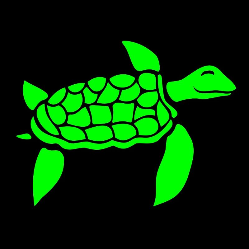 Tortue d’eau mignonne mignonne nageant joyeusement