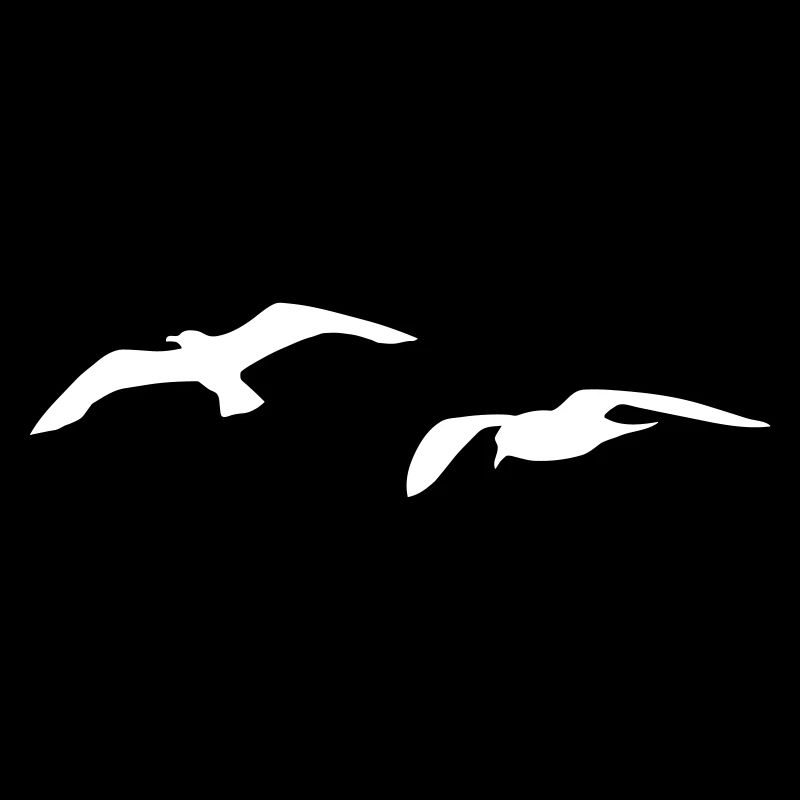 mouette port mer