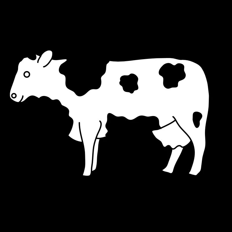 Cow black and white | Cows black color stains