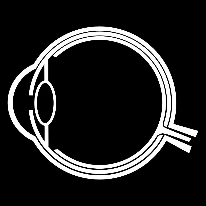 anatomie de l'oeil _g1a