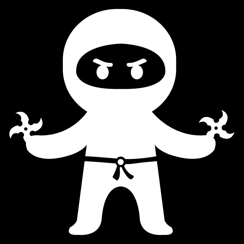 Ninja 1