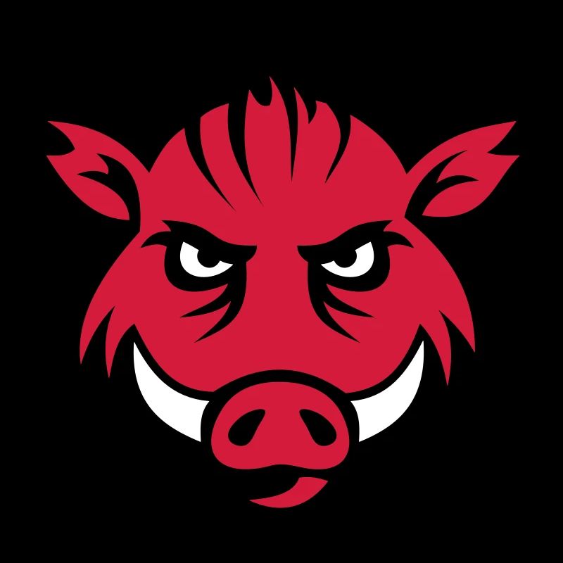 Wildschwein Gesicht 3c