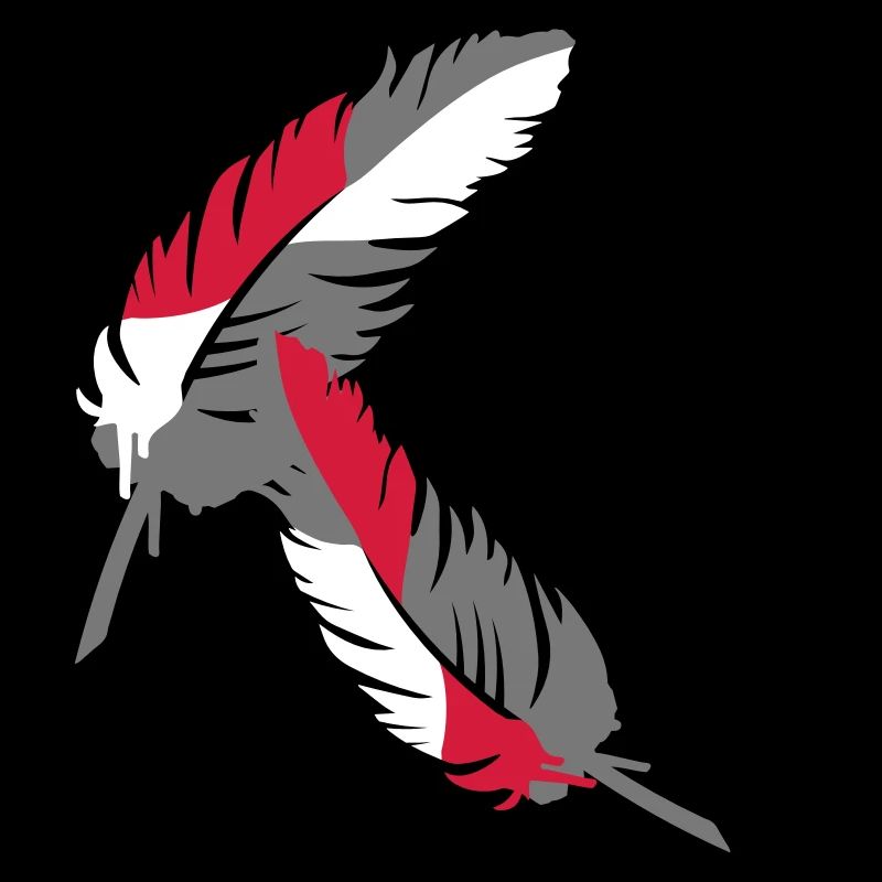 A colorful feather