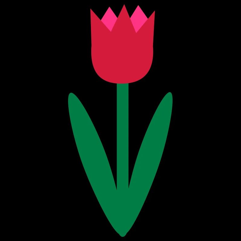 Tulipe Plante Dessin Fleur Idée Cadeau Fleurs