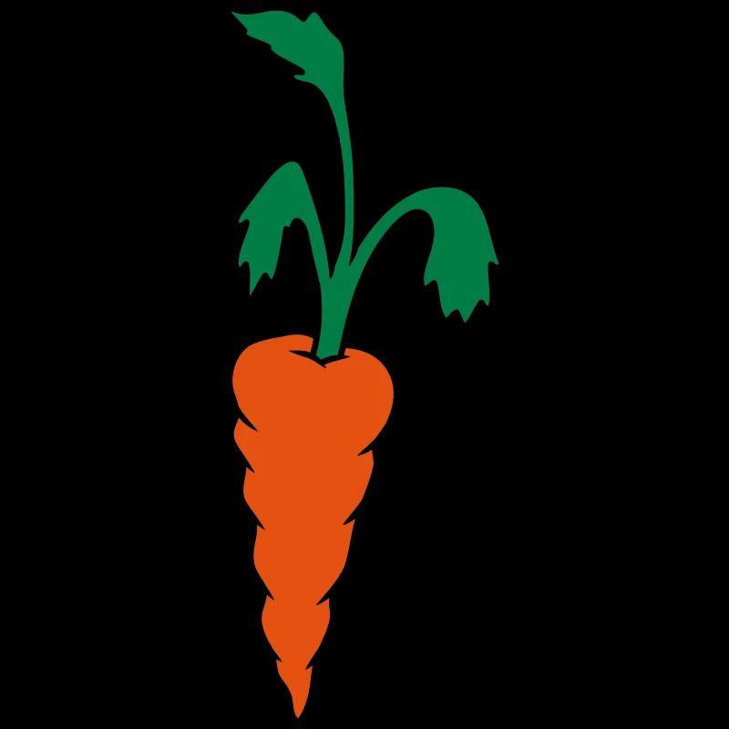 Karotte Möhre