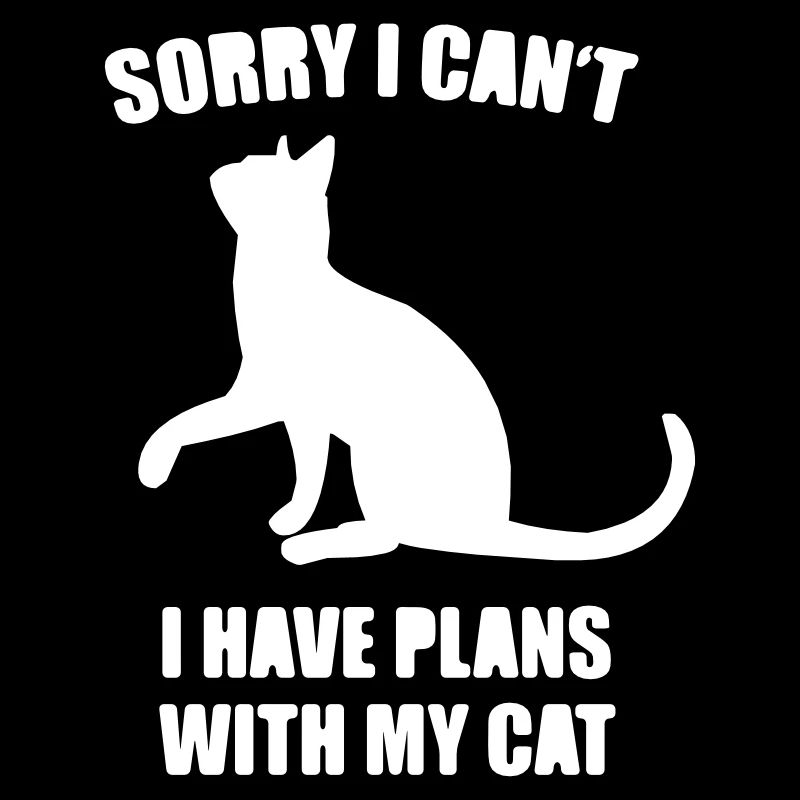 Chats - Chats - Chat - chat - momie de chat