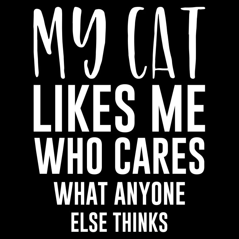 Chat Chats Cadeau Chat Amis Chat Cheveux