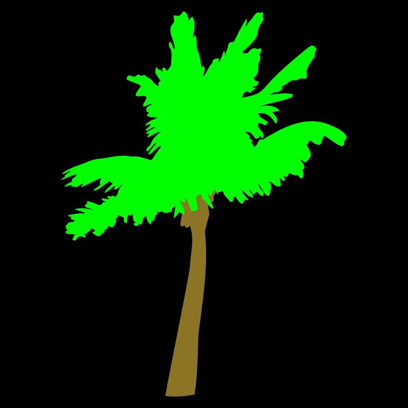 Palm Tree Island Tree Plage Vacances Noix de Mer Cool