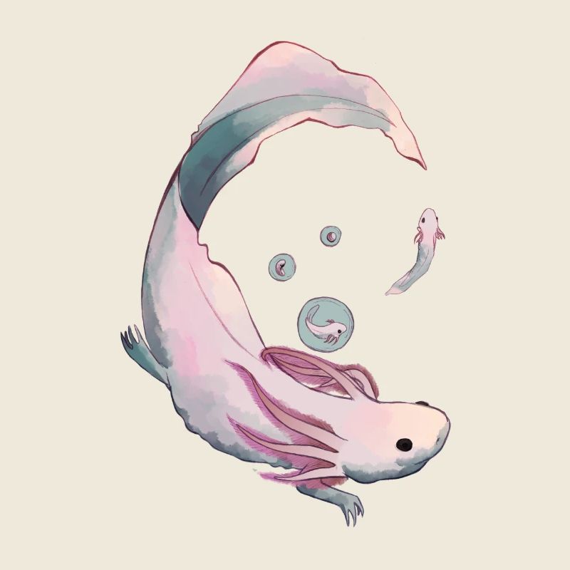 Axolotl Evolution