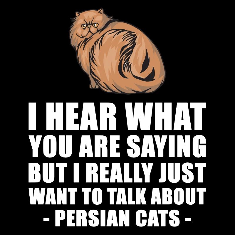 Chat persan mignon cadeau