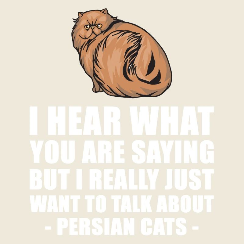 Chat persan mignon cadeau