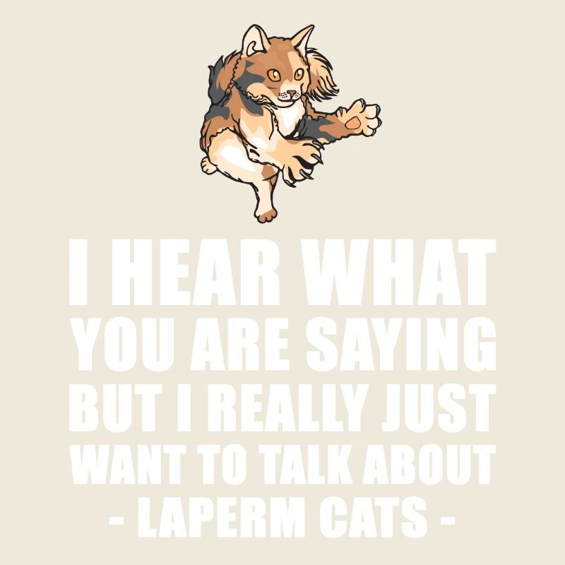 LaPerm Chat cadeau mignon