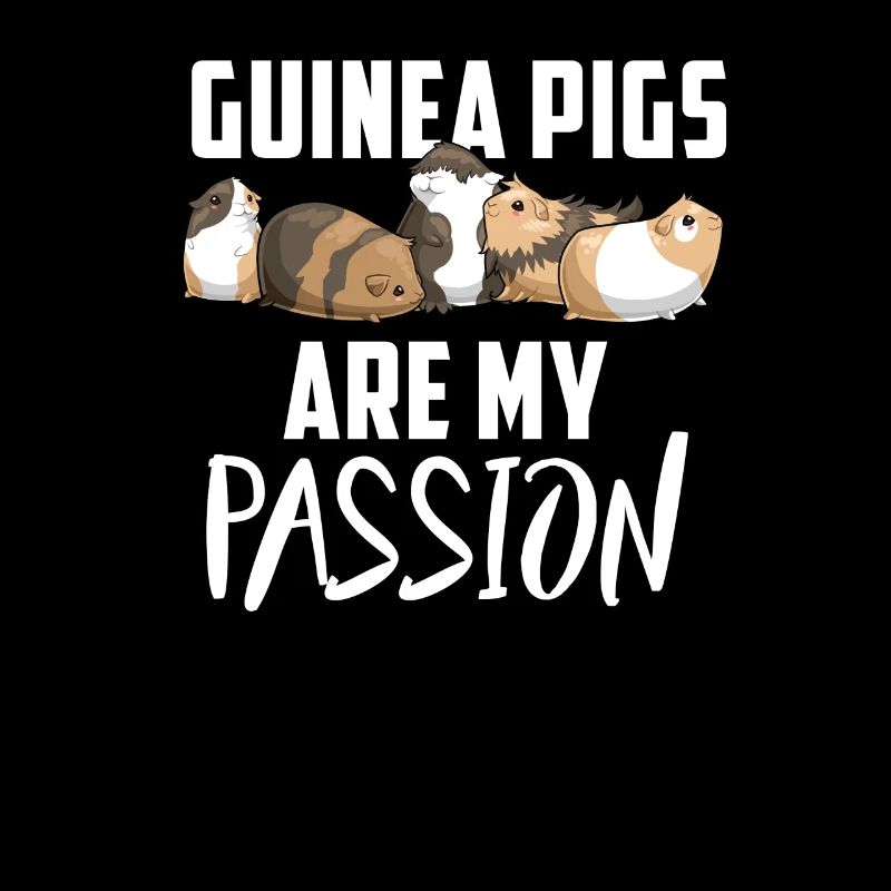 Guinea Pig Guinea Pig Pet Gift