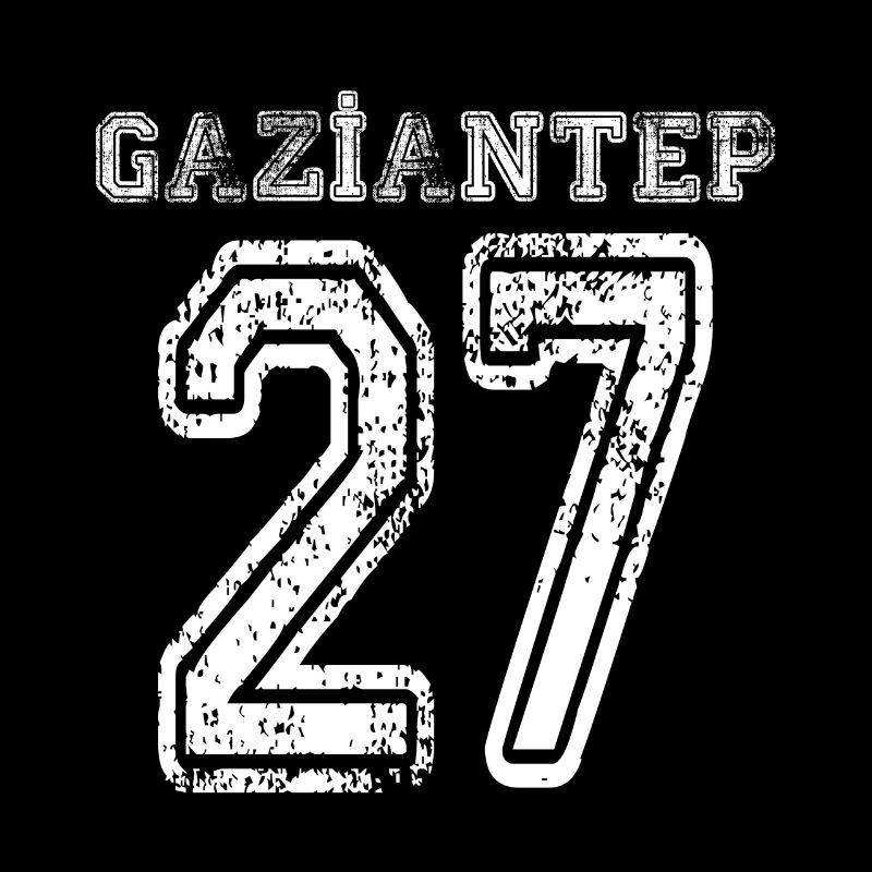 27 Gaziantep Turkish License Plate as a gift