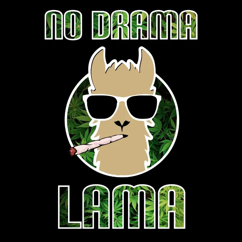 No Drama Lama Joint