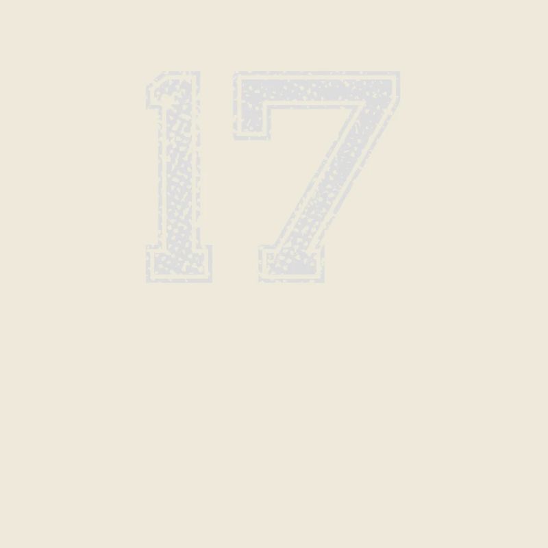 Number 17 Number Seventeen One Seven Gift