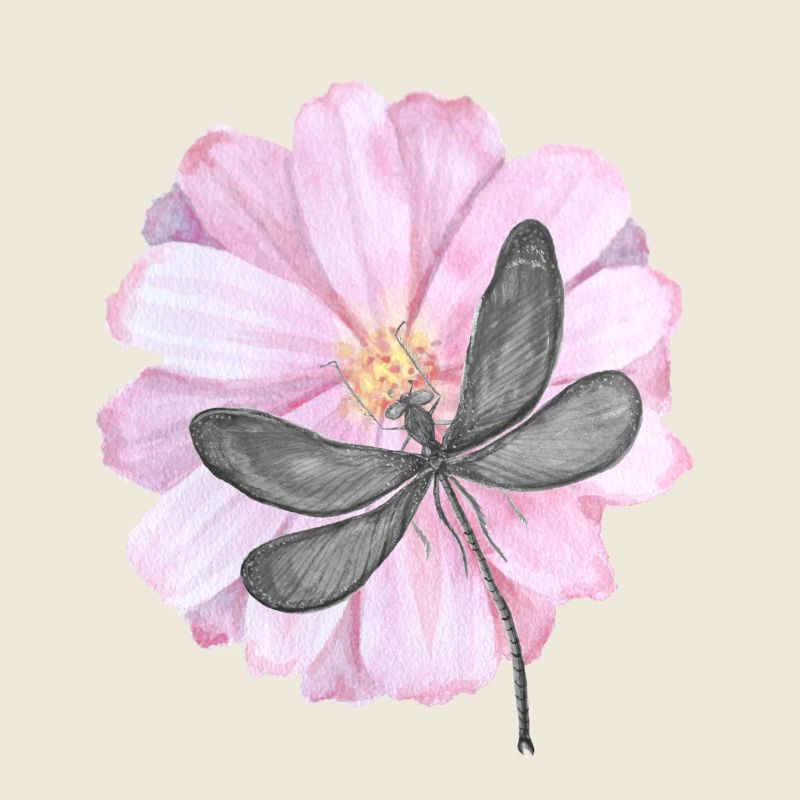 Libellule avec une fleur rose tendre