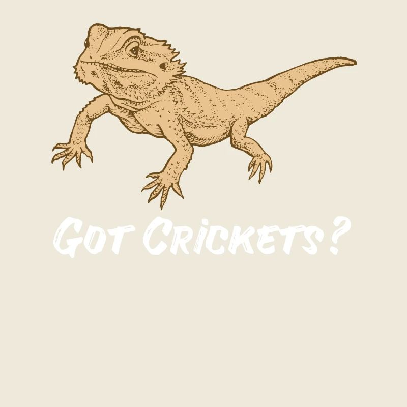 Bartagame Reptil Echse Gecko Futter Grillen