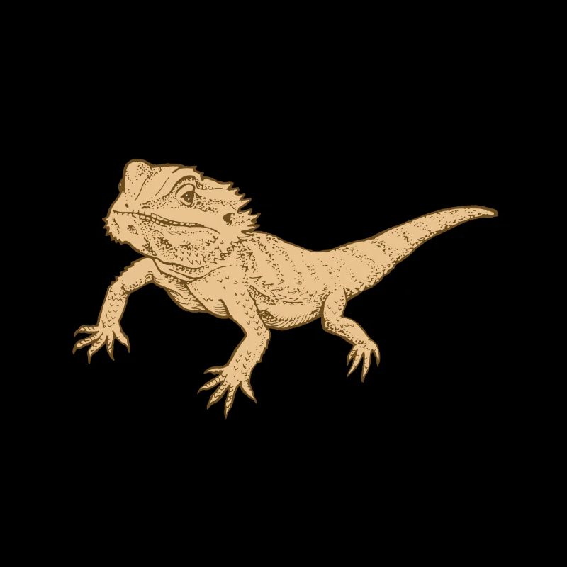 Bartagame Reptil Echse Gecko Futter Grillen