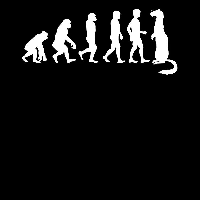 Ferret Friend - Ferret - Funny - Evolution