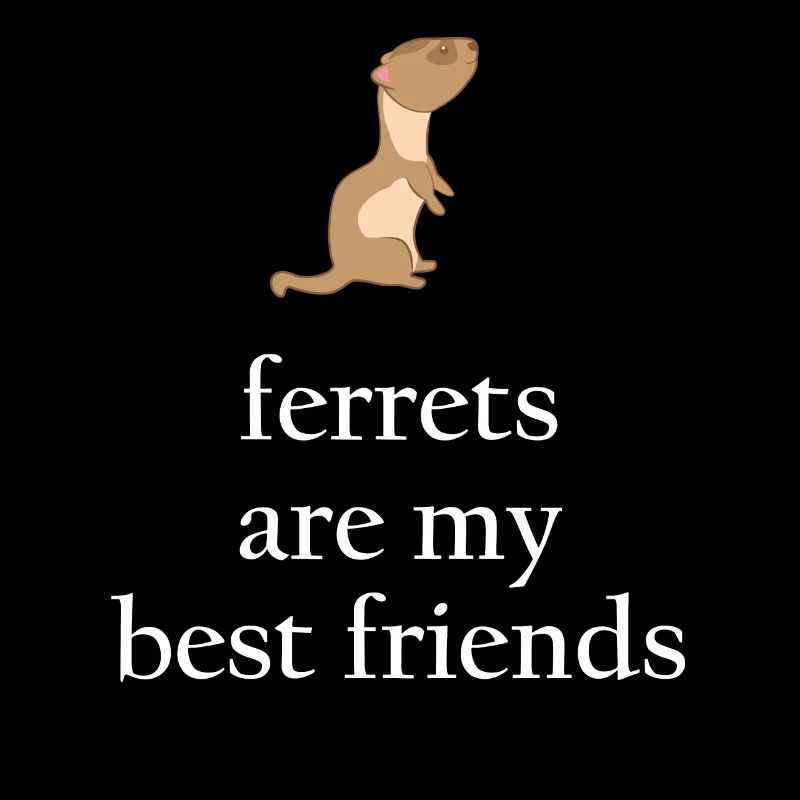 Frettchenfreund - Frettchen - Beste Freunde