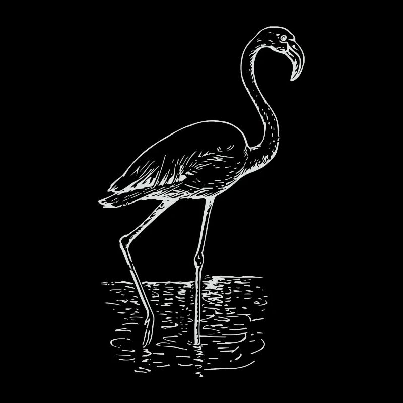 Flamingo dessin