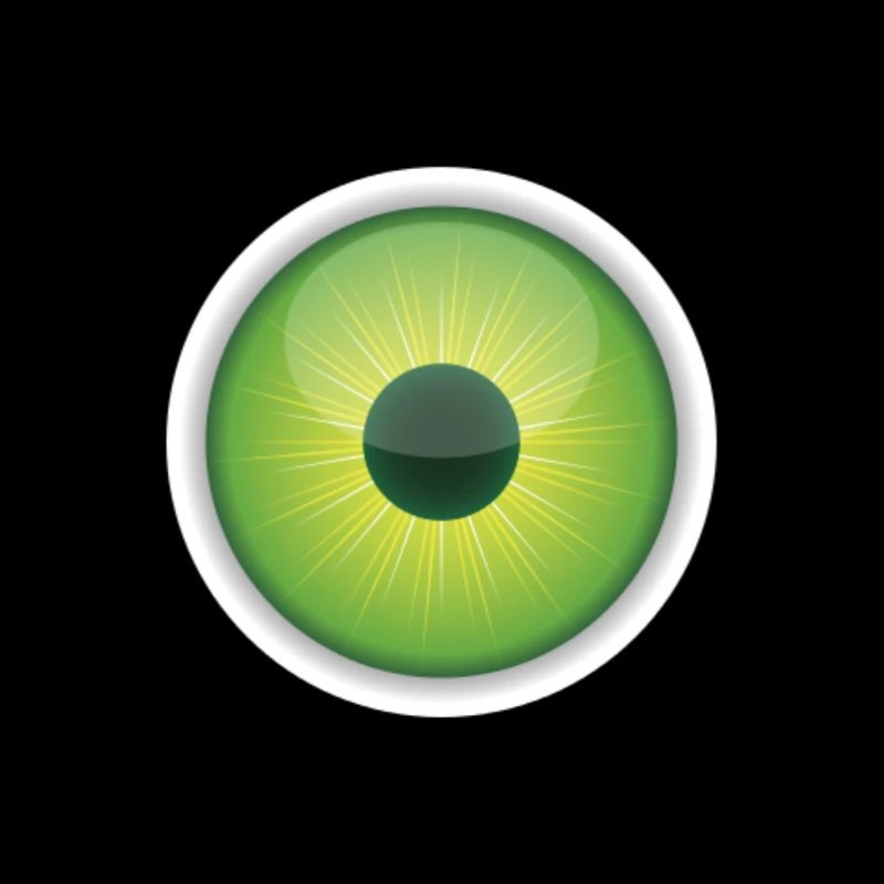 eye