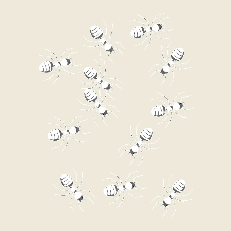 Ants Ant Insect Insects Pests Phobia