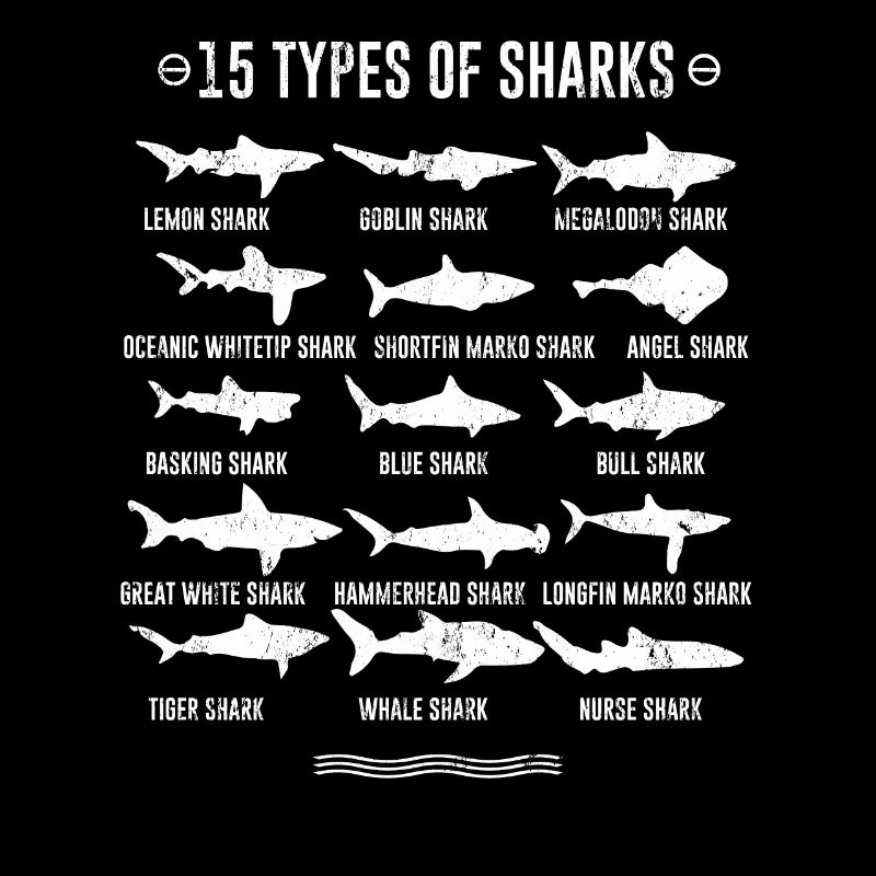 Requins - 15 types de requins